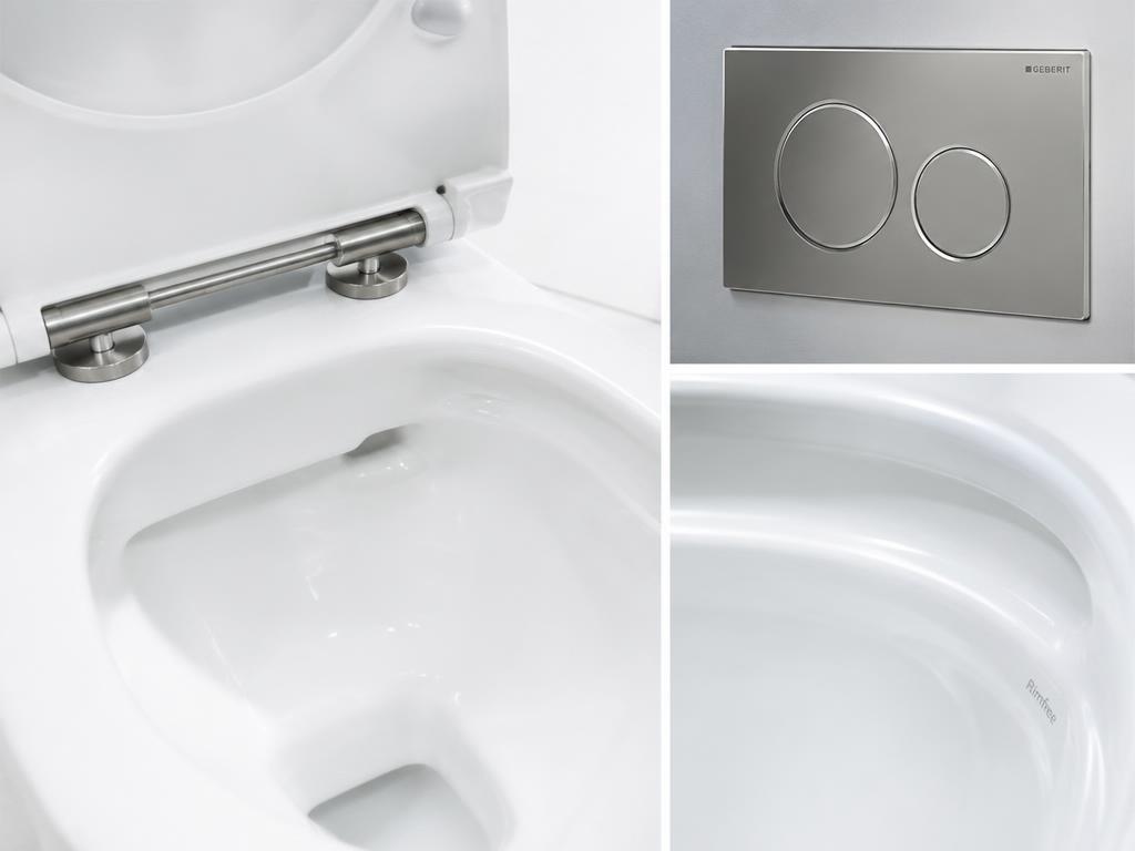 Rimless bowl, soft-close hinge and dual flush plate